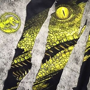 5/$15 Jurassic Park Youth(XL 14/16) Sleeveless Gray shirt W/Raptor